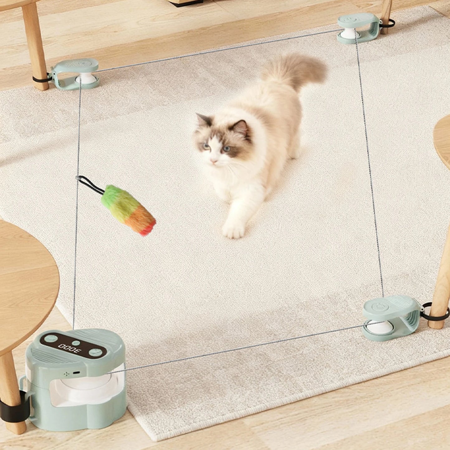 ✨ Jouet Interactif Premium – Son, Vitesse & Instinct Félin Réveillé