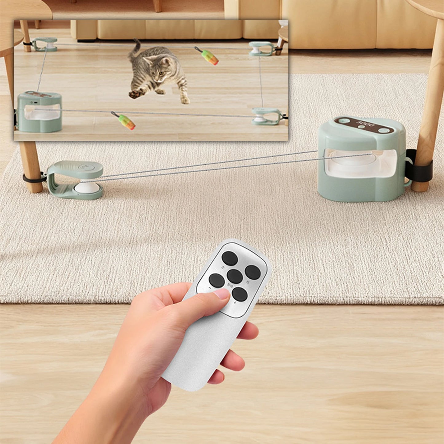 ✨ Jouet Interactif Premium – Son, Vitesse & Instinct Félin Réveillé