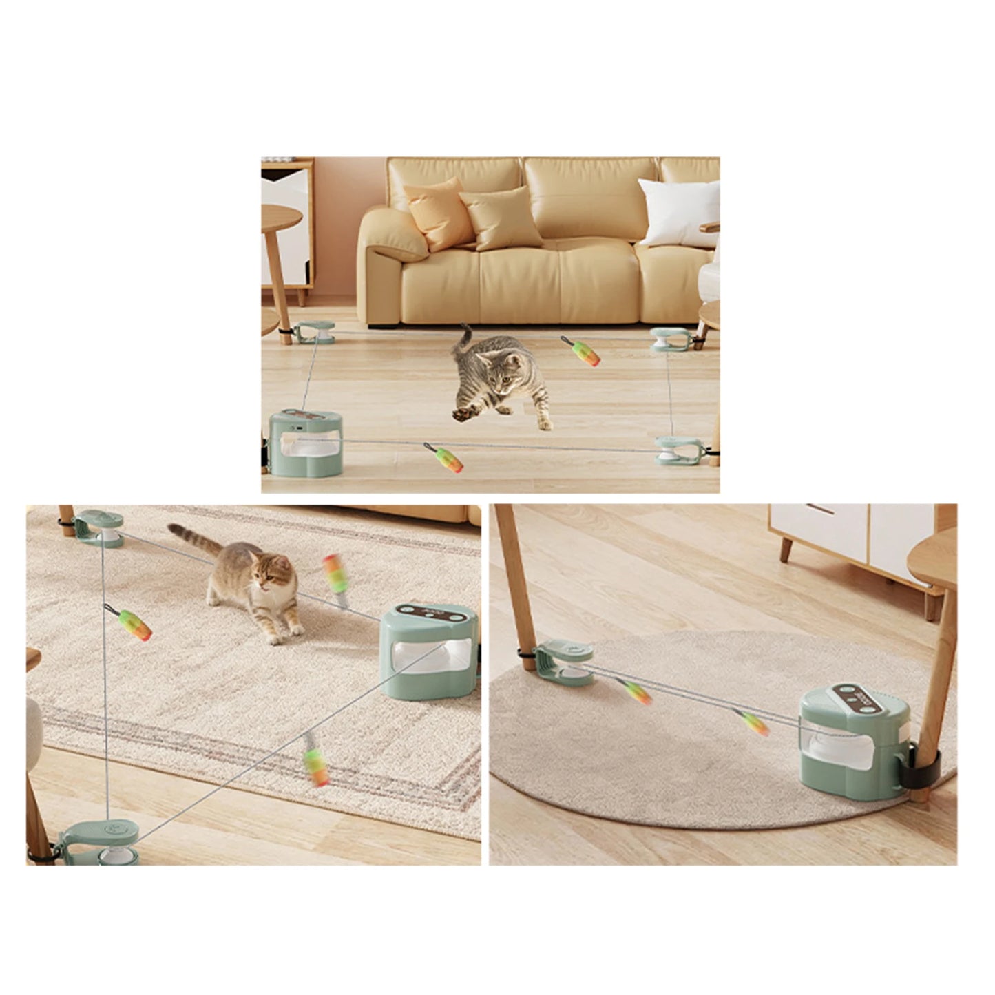 ✨ Jouet Interactif Premium – Son, Vitesse & Instinct Félin Réveillé