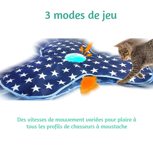 👑 Le Tapis des Petits Prédateurs - Le terrain de chasse préféré des petits rois félins