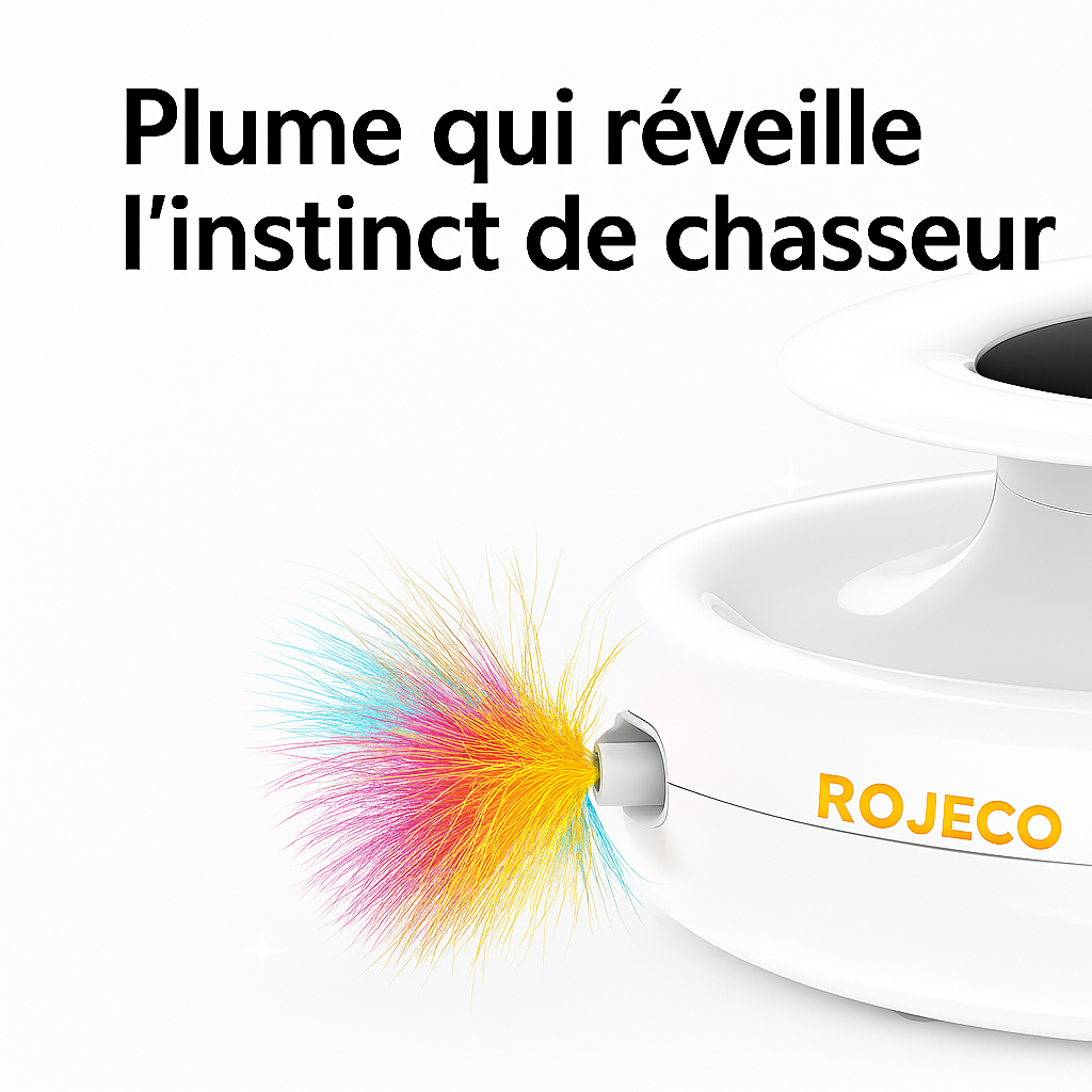 🧶Le Chass’Combo Coussinet(s)