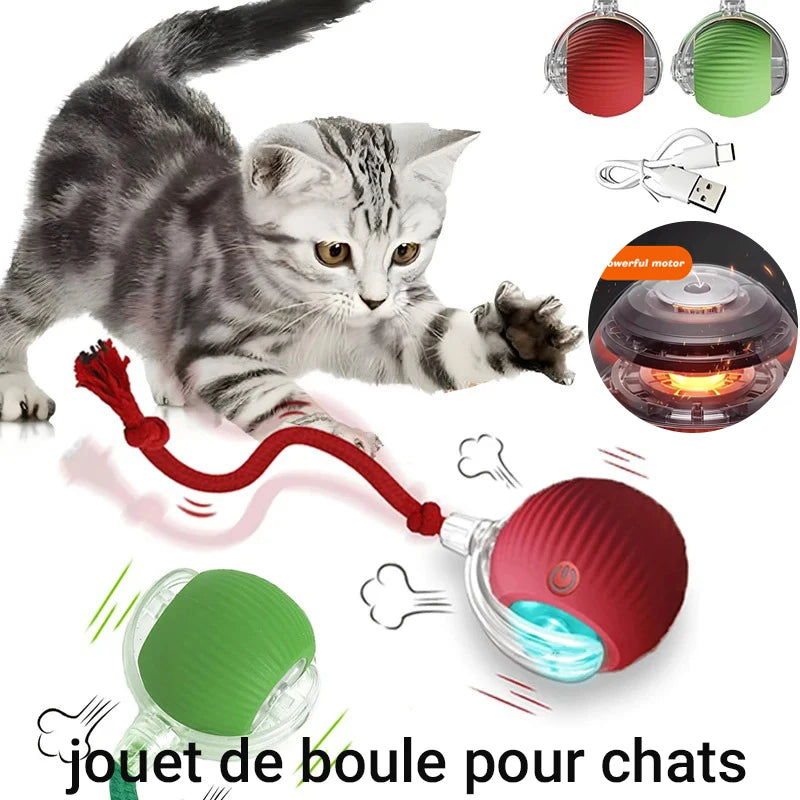 ✨ Balle Interactive Intelligente – Le Jeu Chic qui Réveille l’Instinct Félin