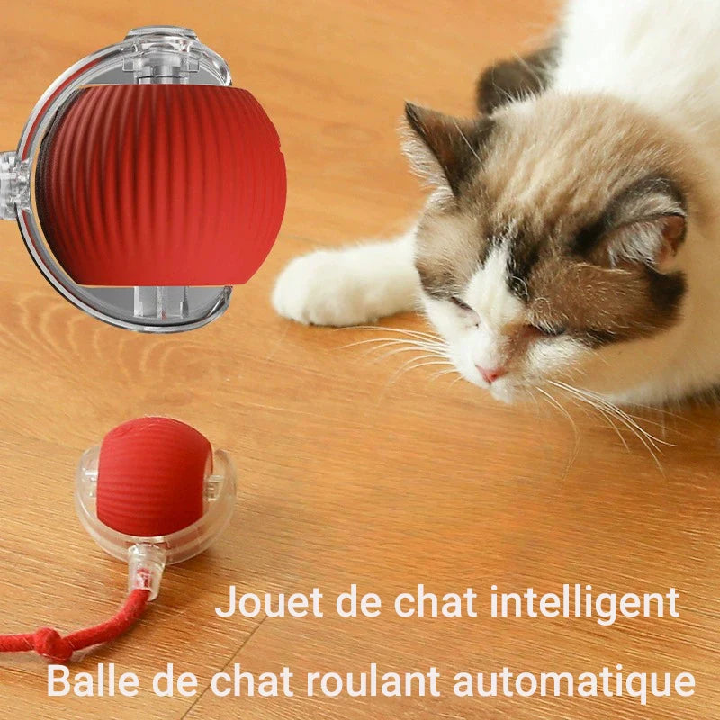 ✨ Balle Interactive Intelligente – Le Jeu Chic qui Réveille l’Instinct Félin