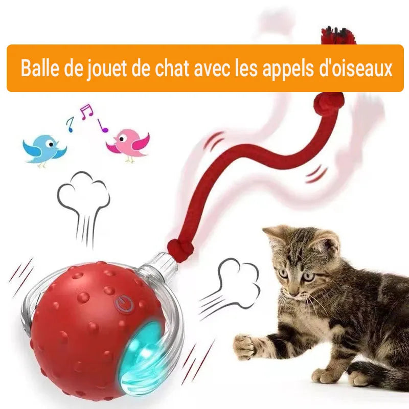 ✨ Balle Interactive Intelligente – Le Jeu Chic qui Réveille l’Instinct Félin
