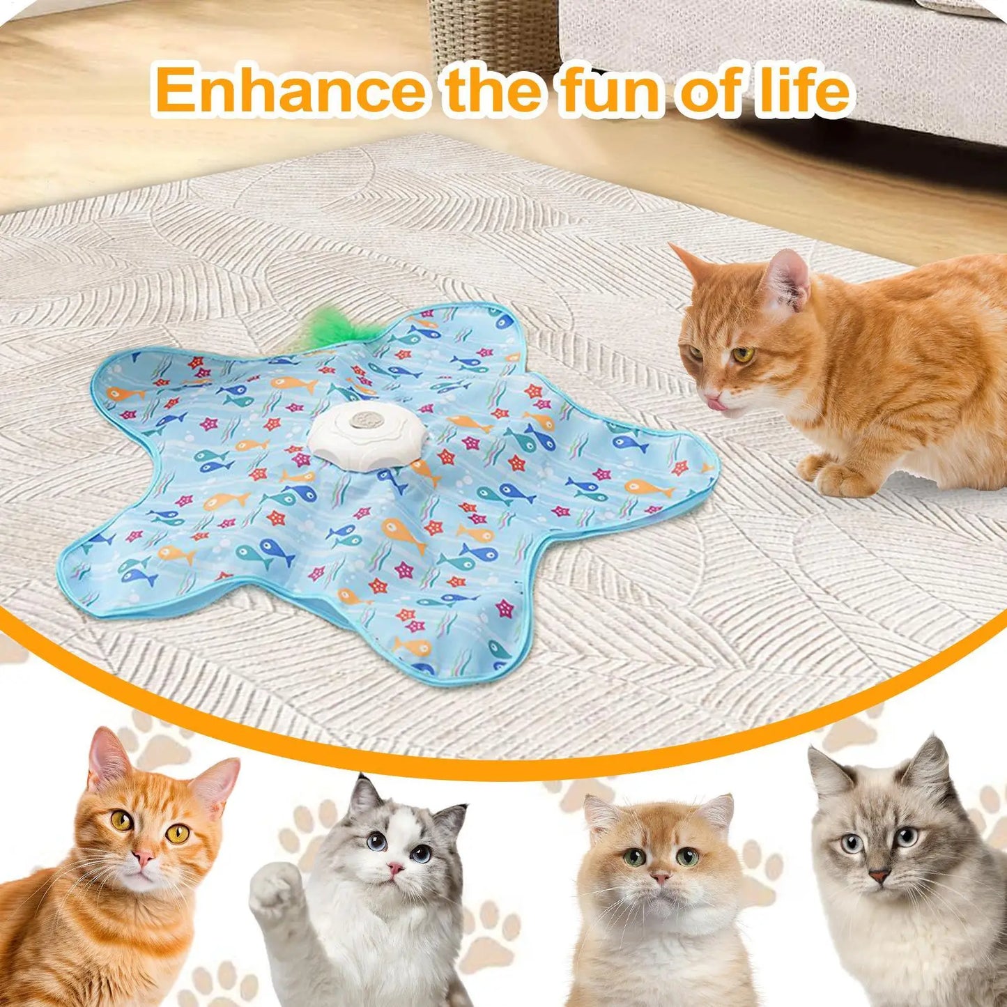 ✨ Jouet Étoile Interactive – Stimulation Chic & Jeu Intelligent